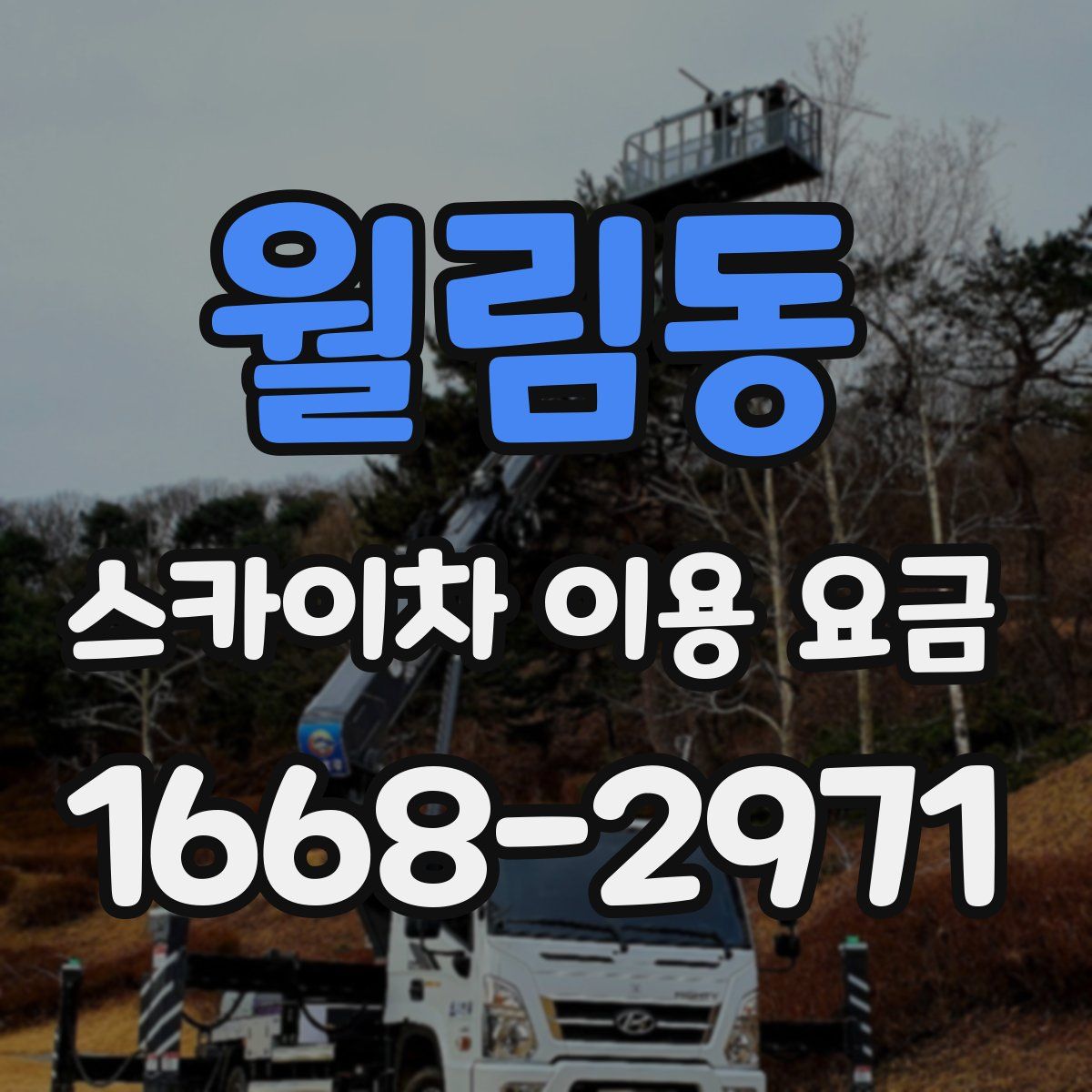월림동 스카이차 이용 요금