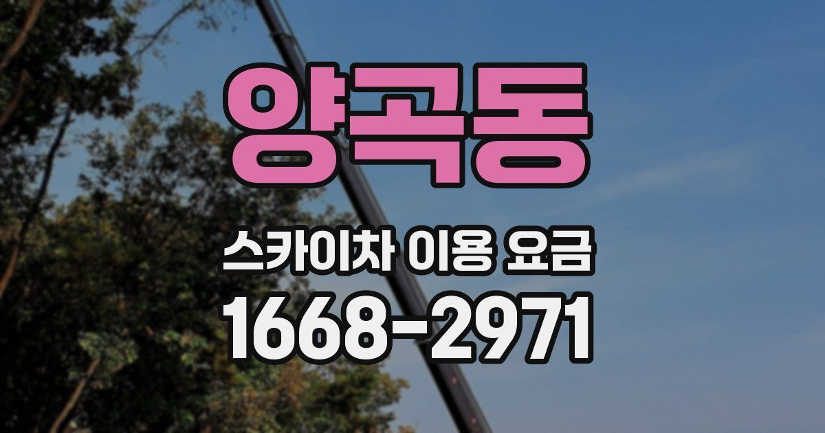 양곡동 스카이차 이용 요금