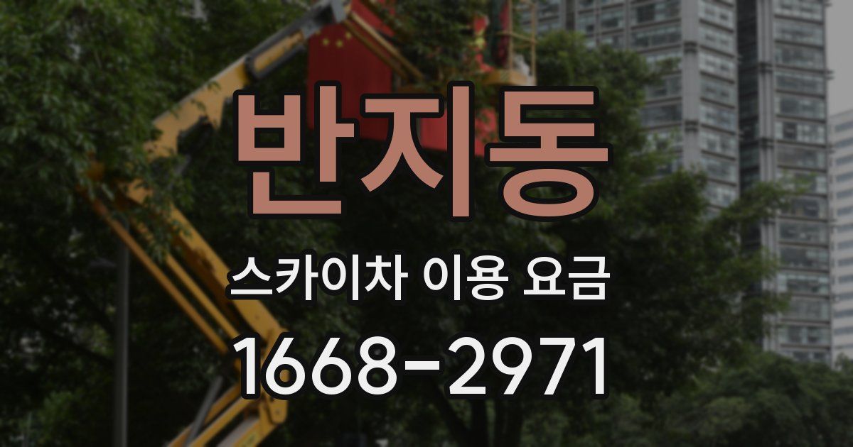반지동 스카이차 이용 요금