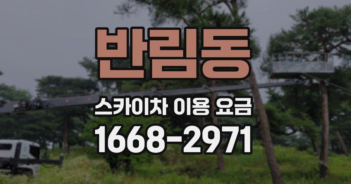 반림동 스카이차 이용 요금