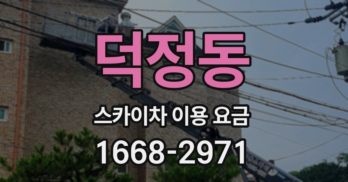 덕정동 스카이차 이용 요금