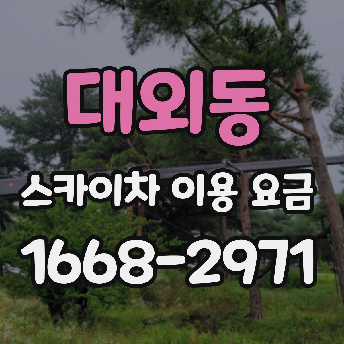 대외동 스카이차 이용 요금