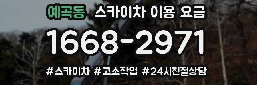 예곡동 스카이차 이용 요금