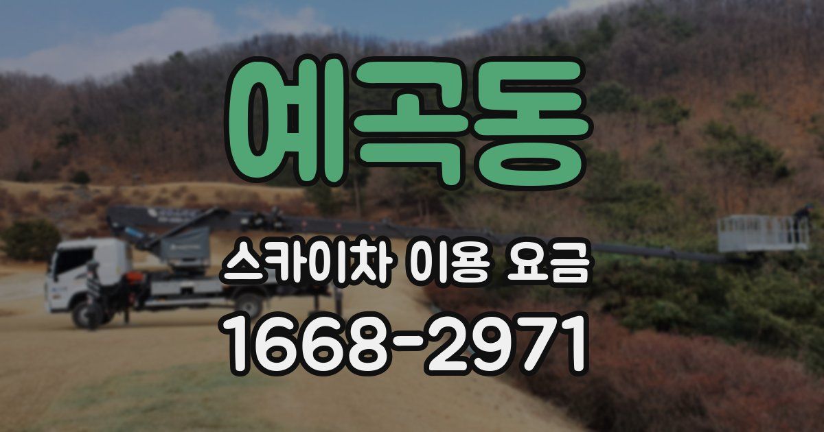 예곡동 스카이차 이용 요금
