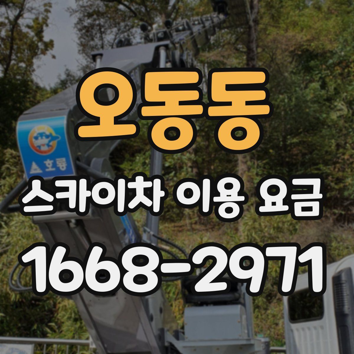 오동동 스카이차 이용 요금