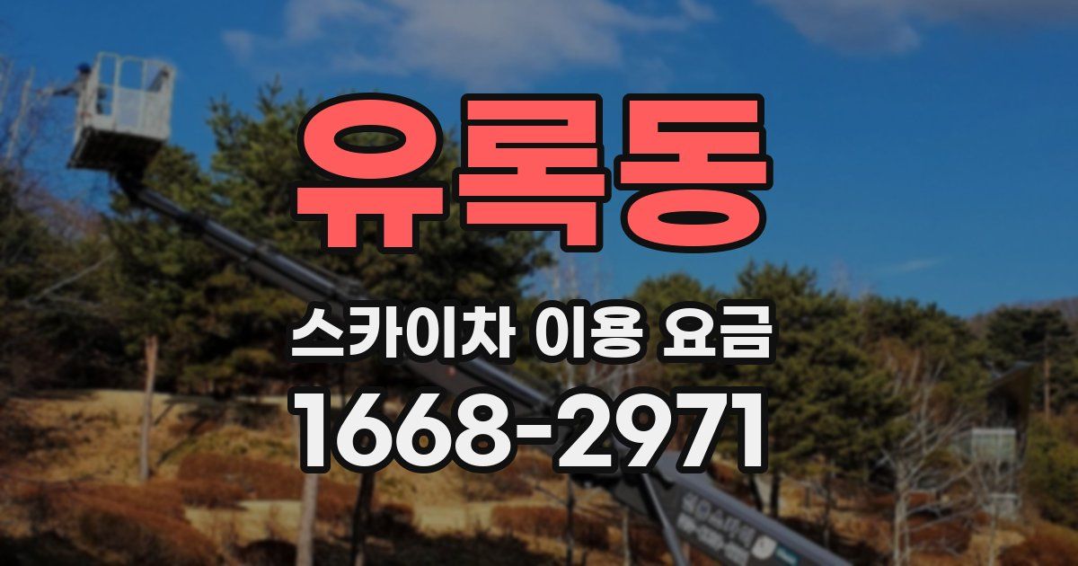 유록동 스카이차 이용 요금