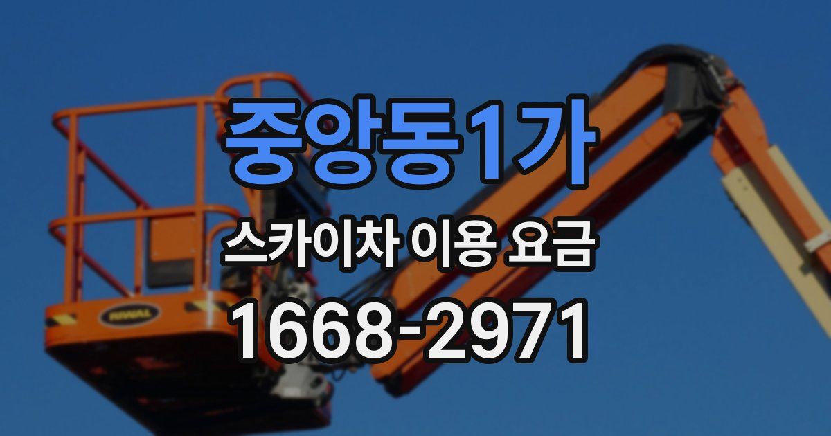 중앙동1가 스카이차 이용 요금