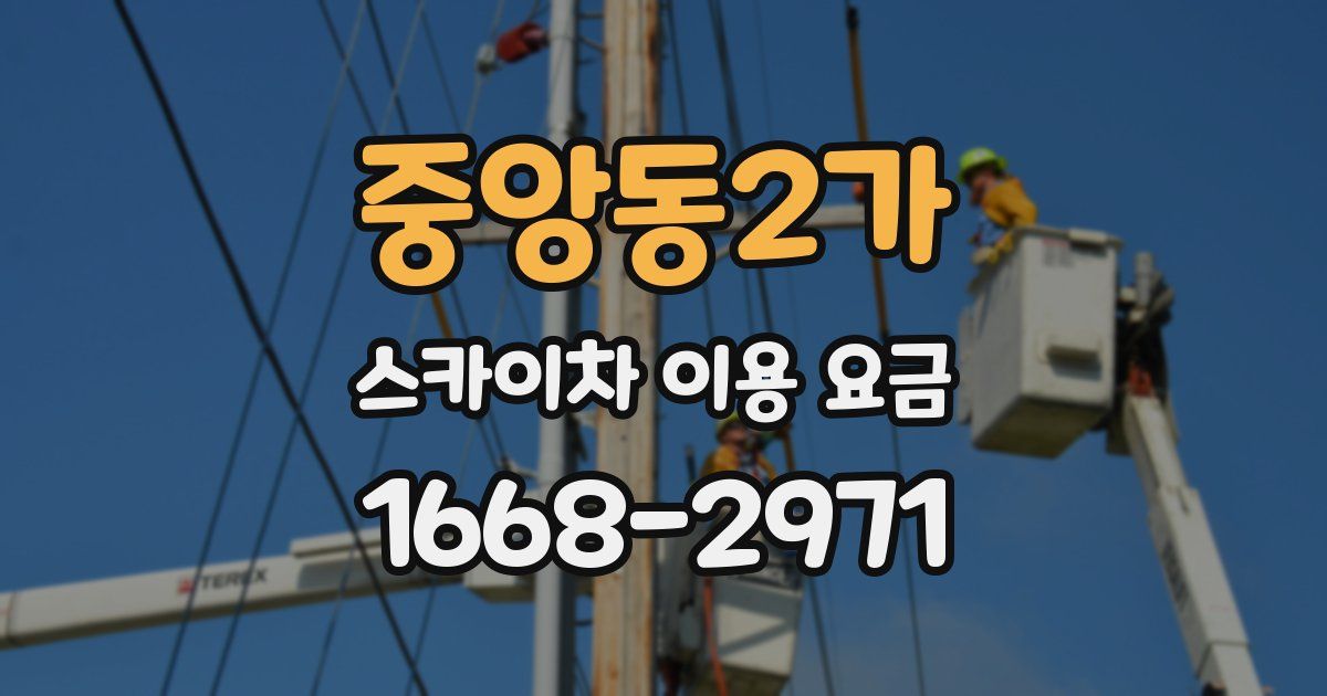 중앙동2가 스카이차 이용 요금