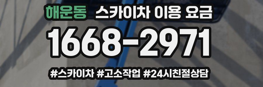해운동 스카이차 이용 요금