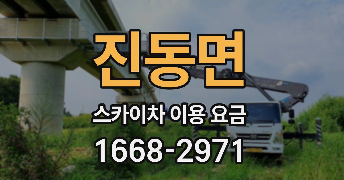 진동면 스카이차 이용 요금