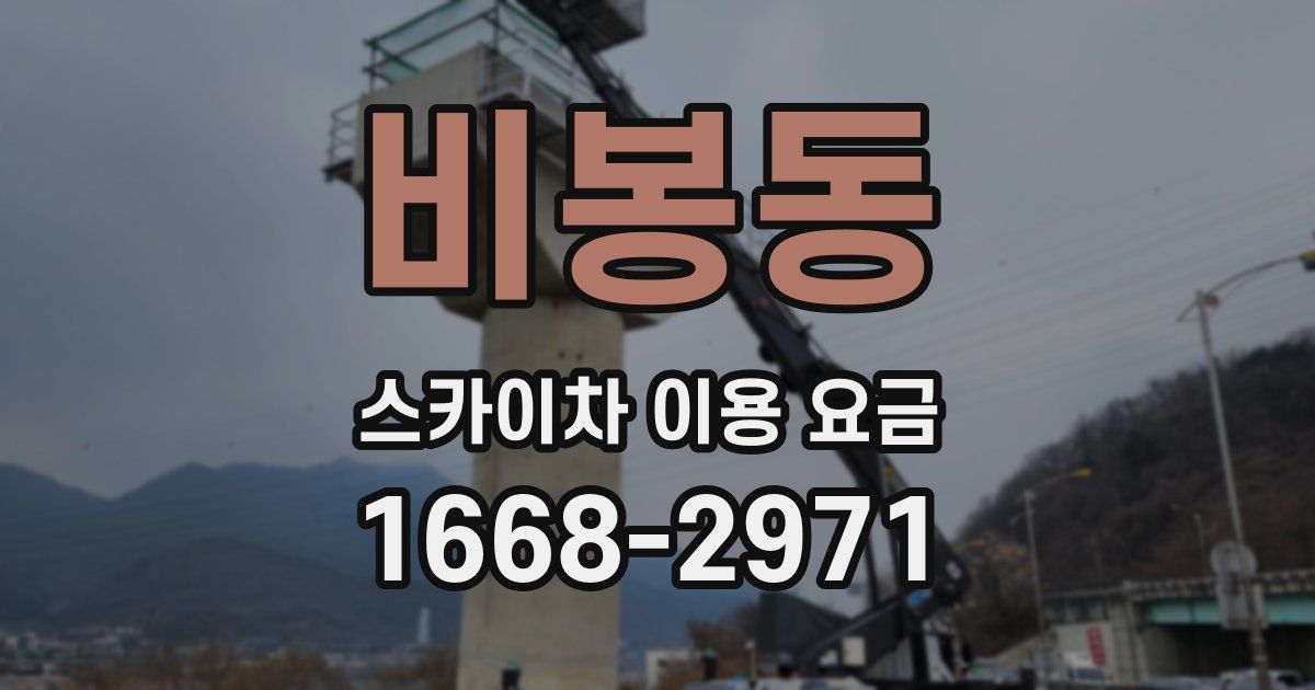 비봉동 스카이차 이용 요금