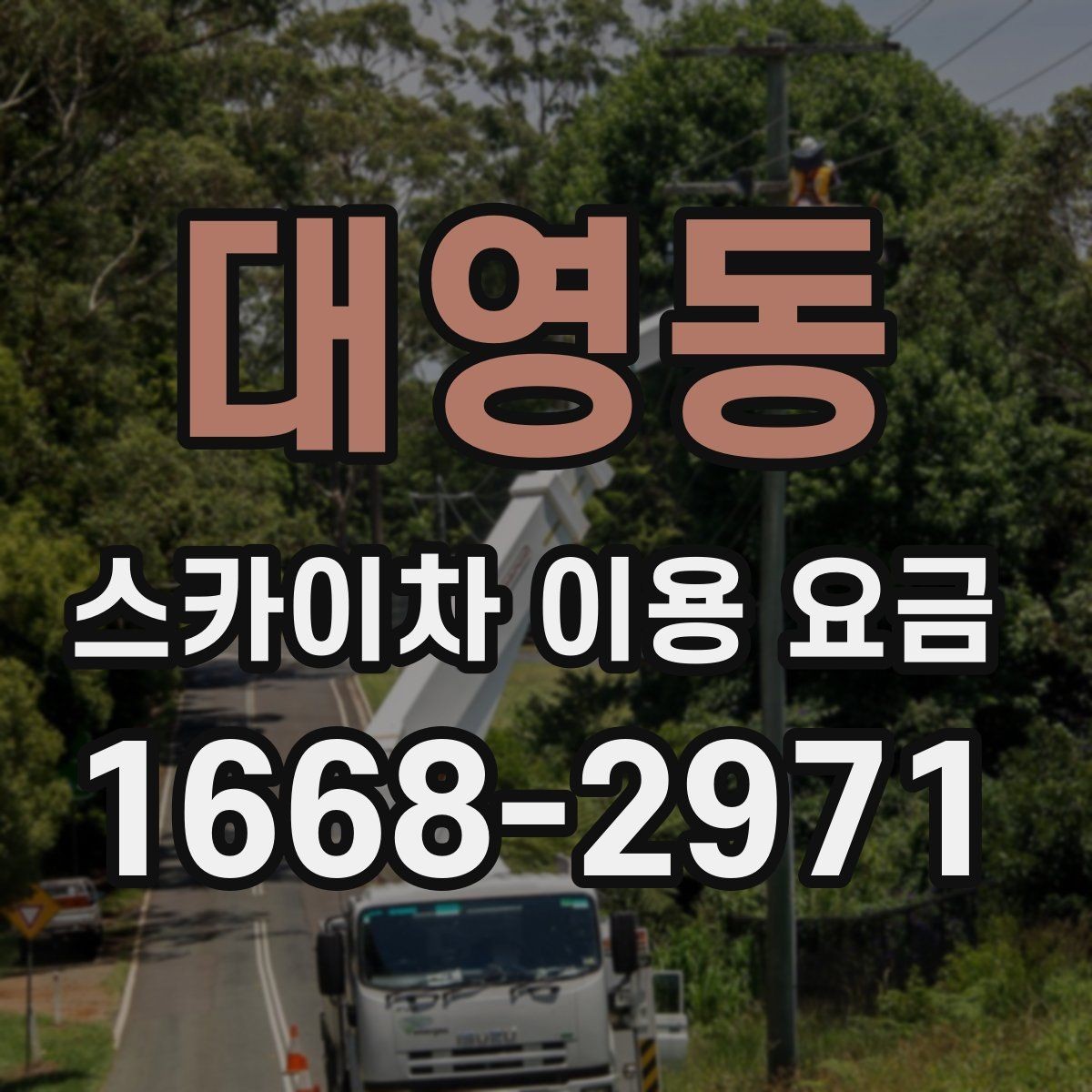 대영동 스카이차 이용 요금 구성과 추가 비용 살펴보기