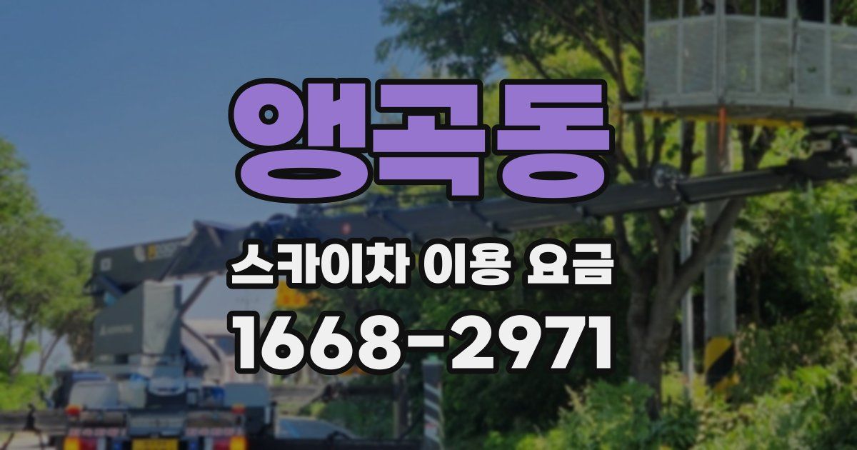 앵곡동 스카이차 이용 요금