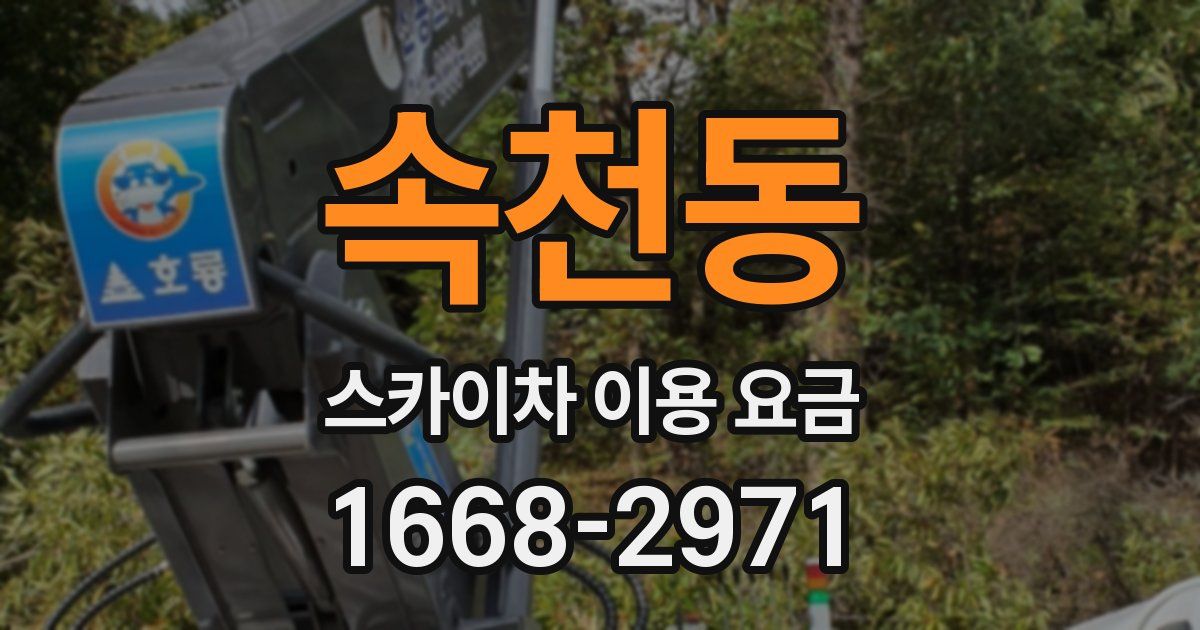 속천동 스카이차 이용 요금