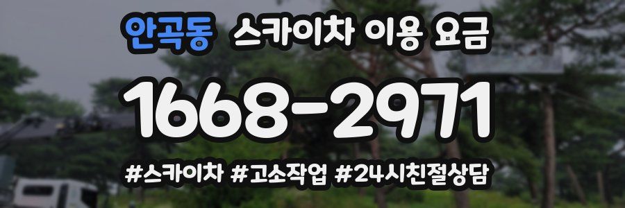 안곡동 스카이차 이용 요금