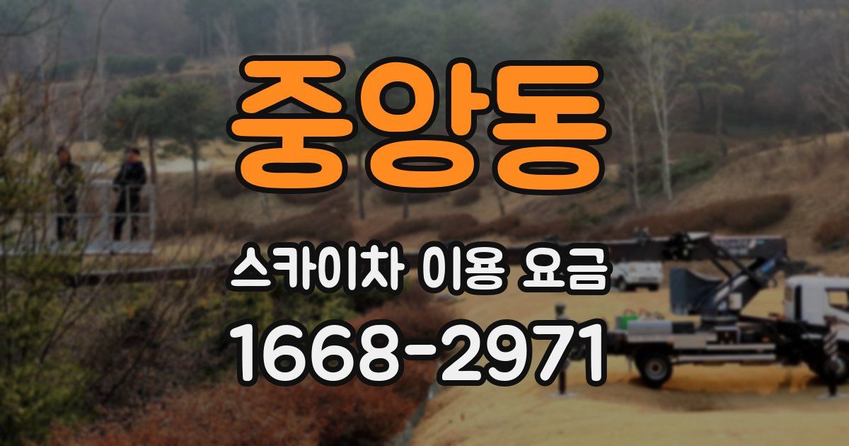 중앙동 스카이차 이용 요금