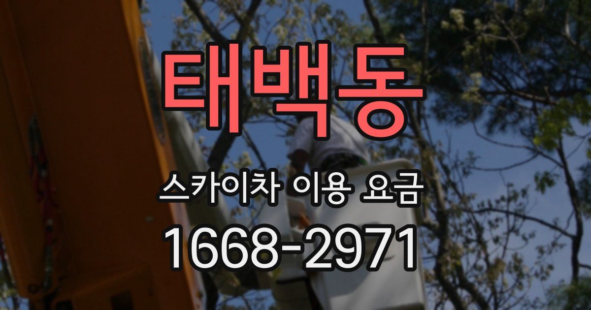 태백동 스카이차 이용 요금