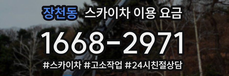 장천동 스카이차 이용 요금