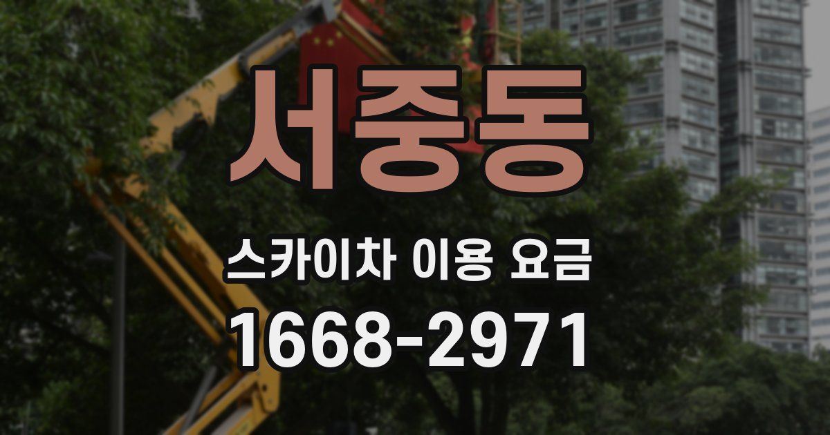 서중동 스카이차 이용 요금