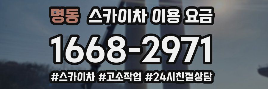 명동 스카이차 이용 요금