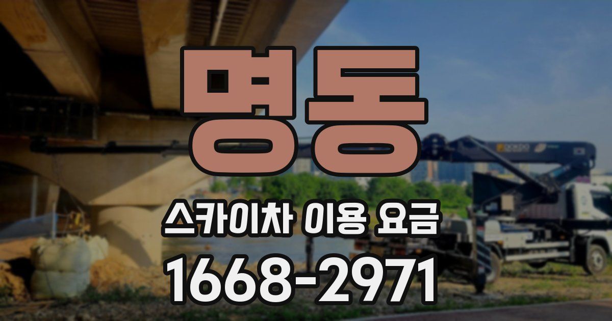 명동 스카이차 이용 요금