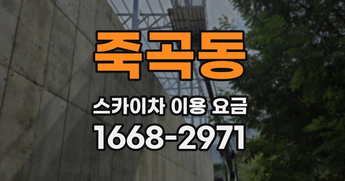죽곡동 스카이차 이용 요금