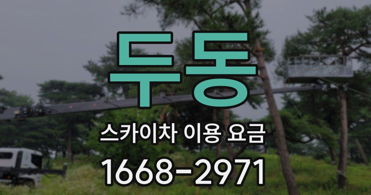 두동 스카이차 이용 요금