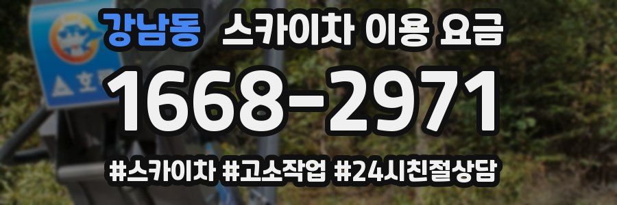 강남동 스카이차 이용 요금