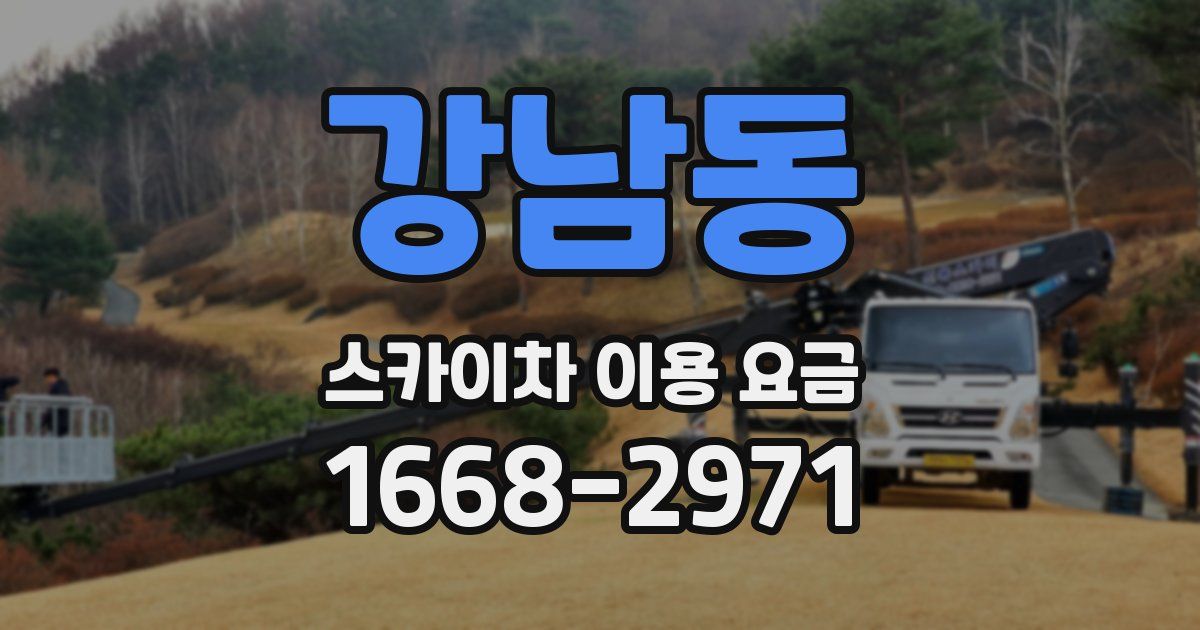 강남동 스카이차 이용 요금