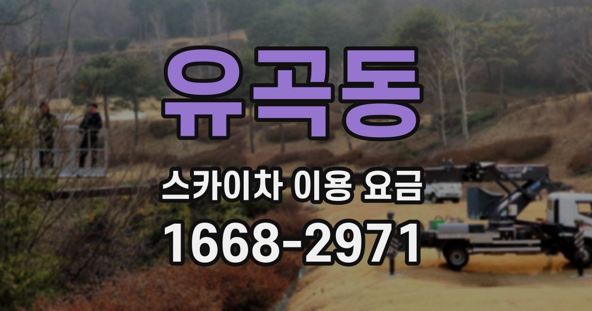 유곡동 스카이차 이용 요금