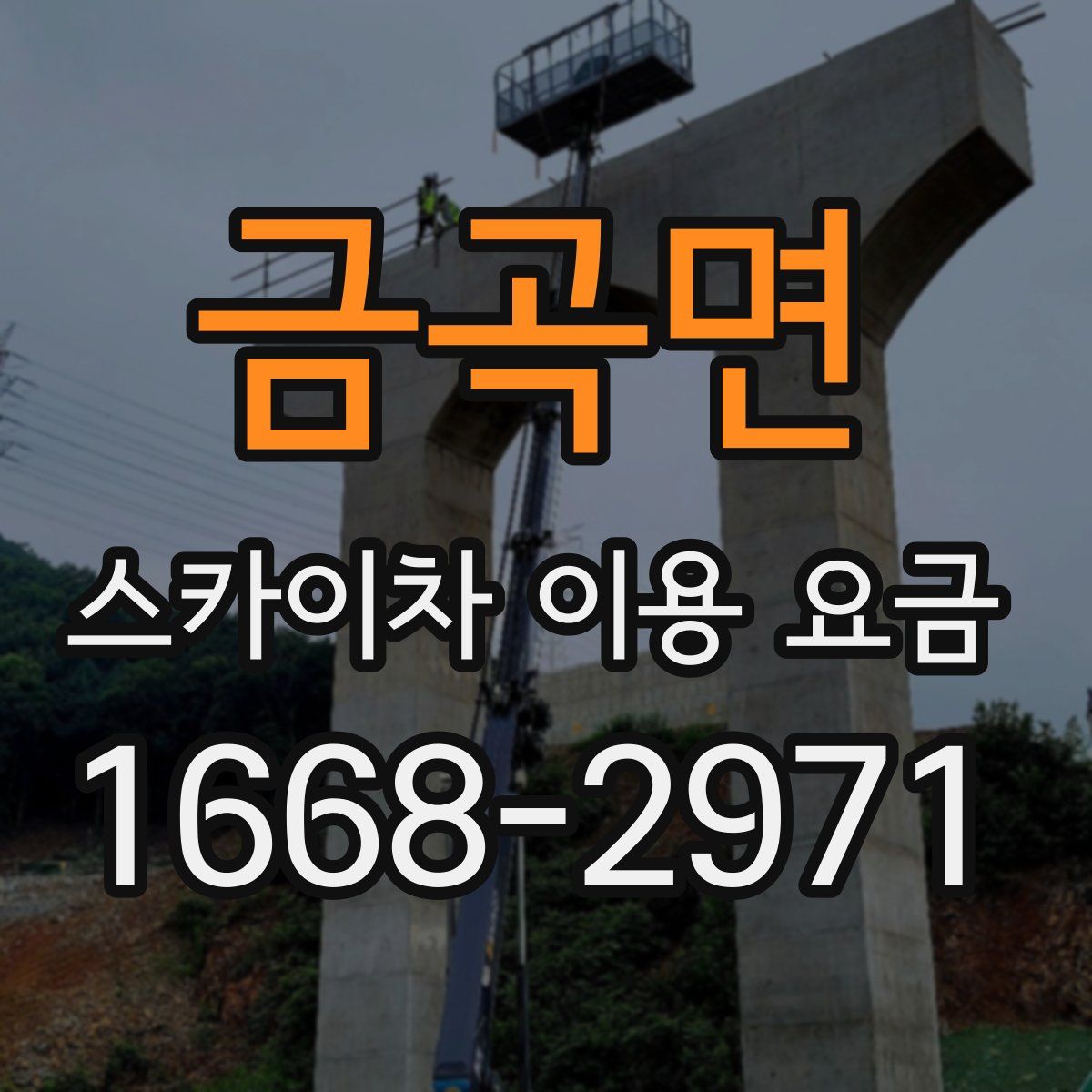 금곡면 스카이차 이용 요금