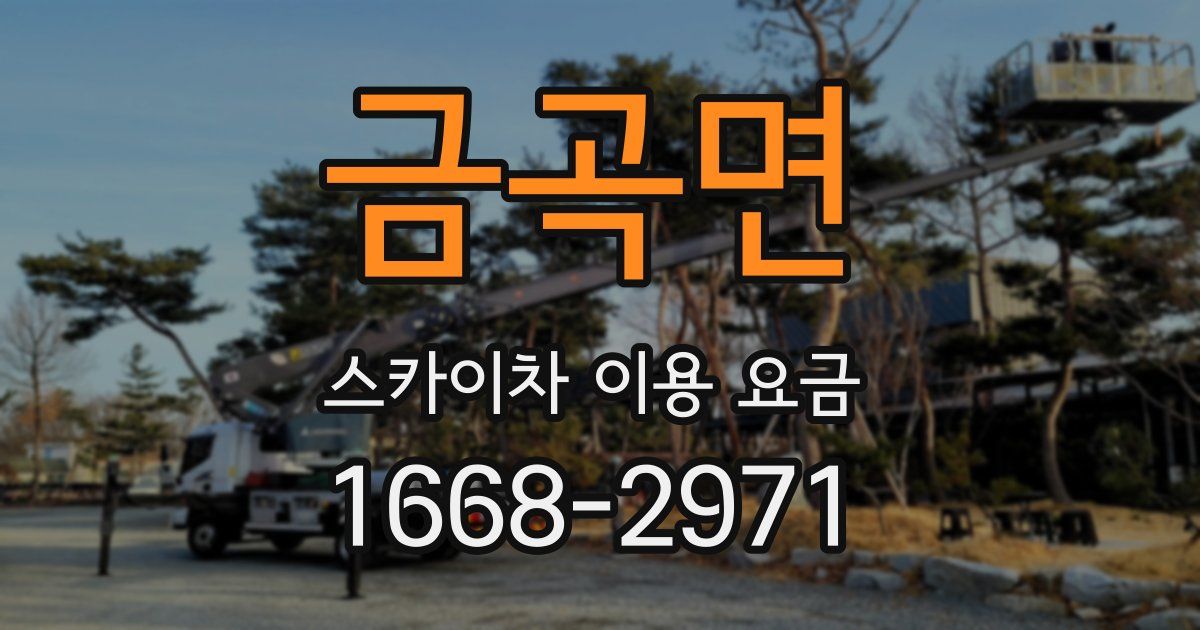 금곡면 스카이차 이용 요금