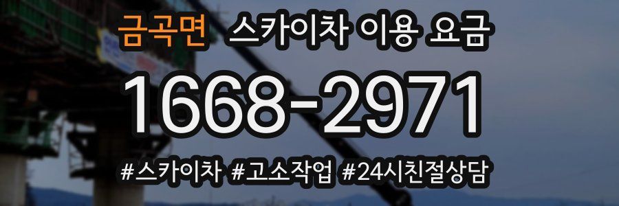 금곡면 스카이차 이용 요금