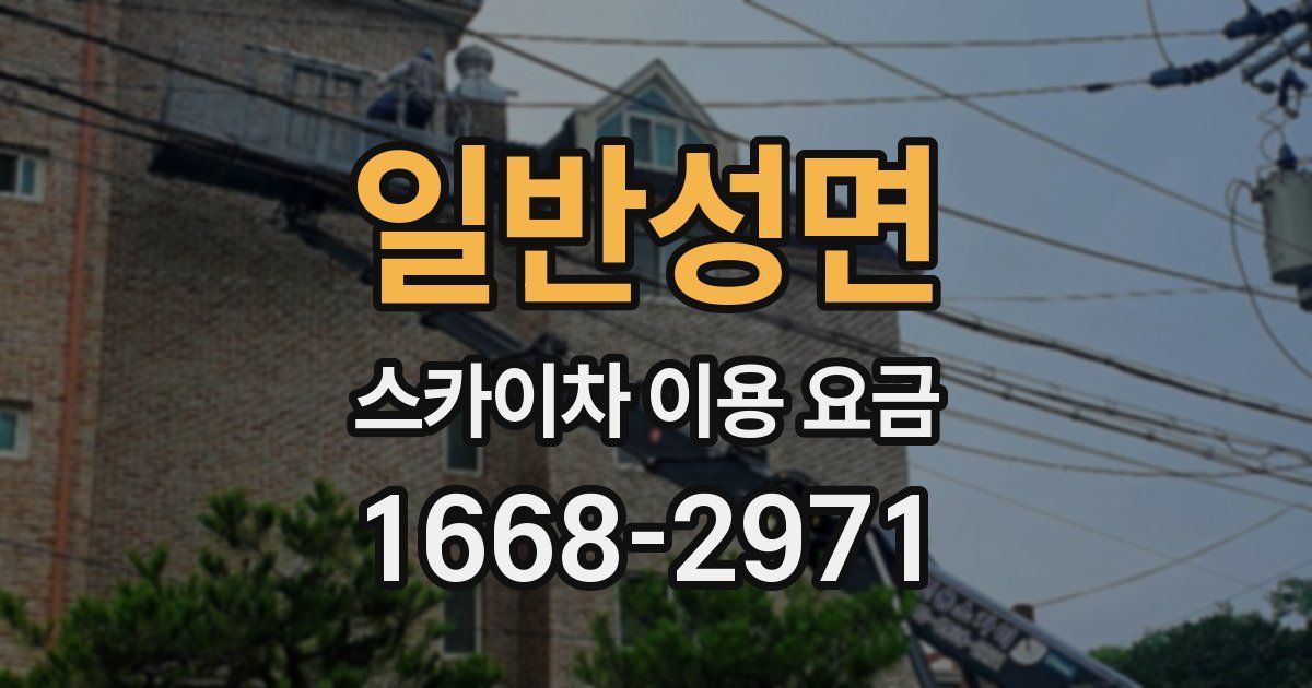 일반성면 스카이차 이용 요금