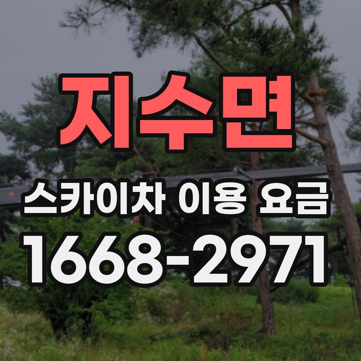 지수면 스카이차 이용 요금 비교 시 놓치기 쉬운 부분