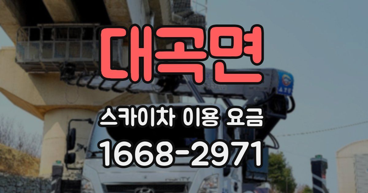 대곡면 스카이차 이용 요금