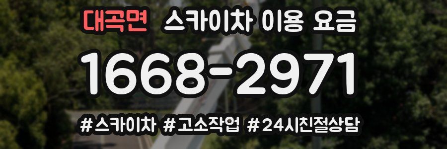 대곡면 스카이차 이용 요금