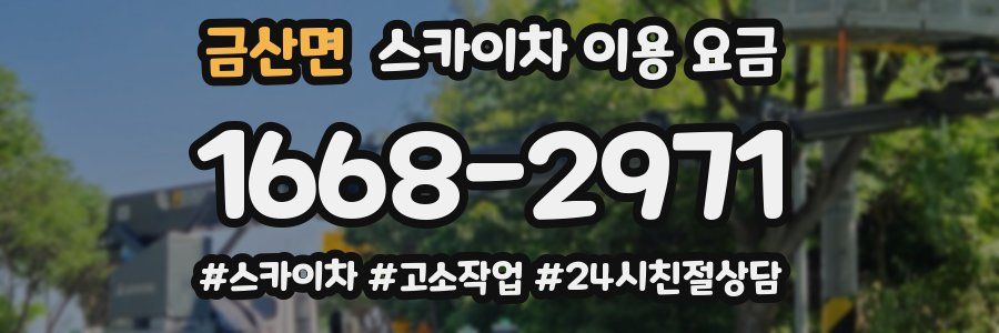 금산면 스카이차 이용 요금