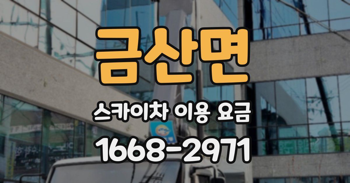 금산면 스카이차 이용 요금
