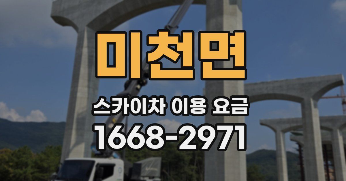 미천면 스카이차 이용 요금
