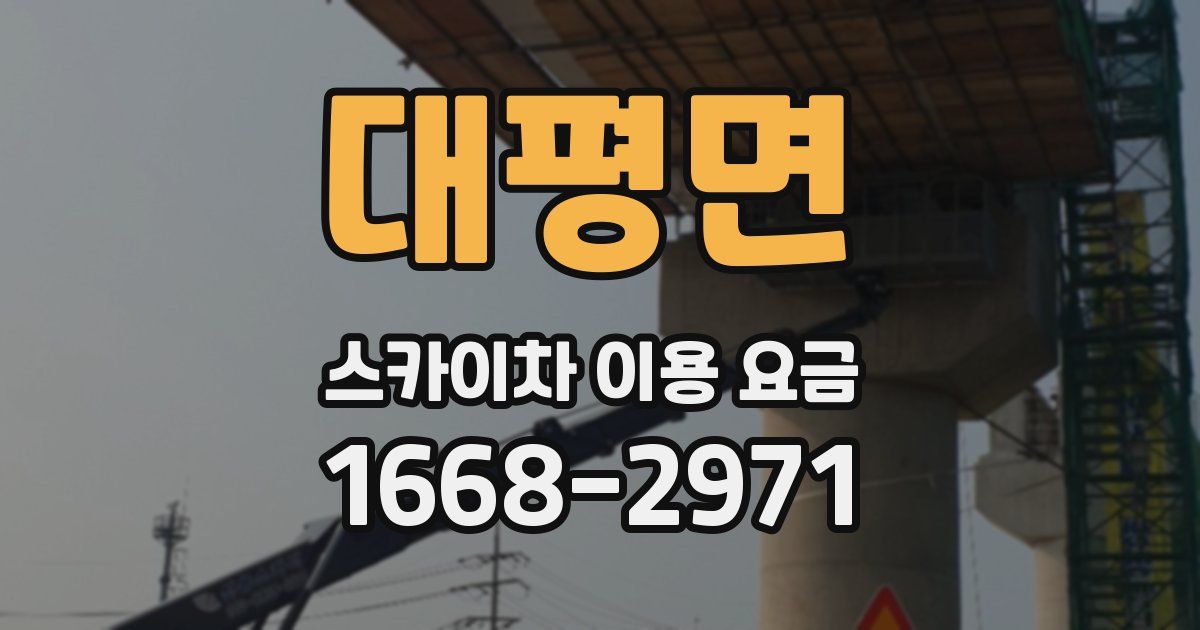 대평면 스카이차 이용 요금