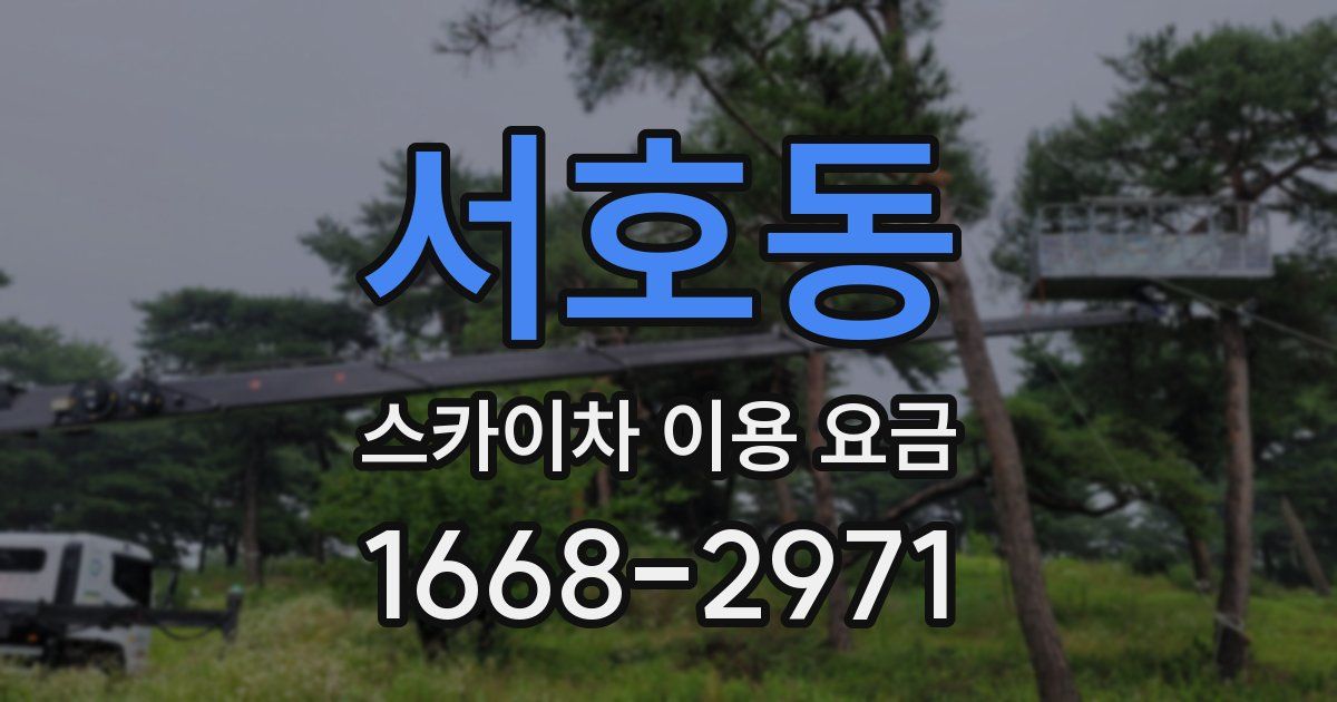 서호동 스카이차 이용 요금