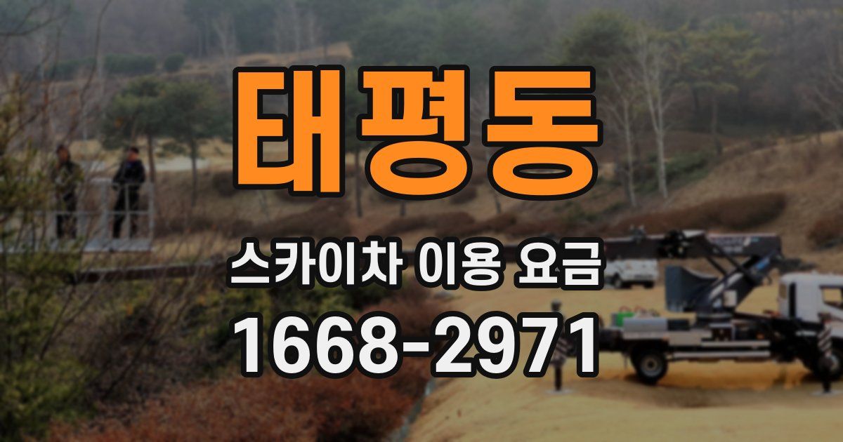 태평동 스카이차 이용 요금