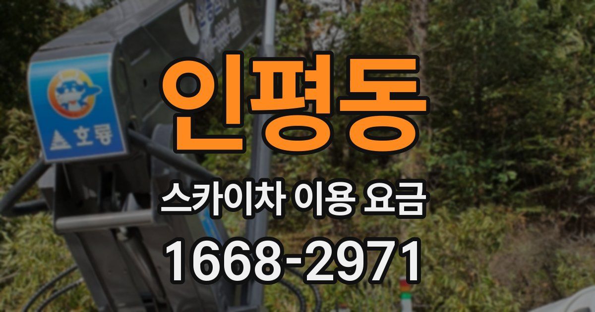 인평동 스카이차 이용 요금