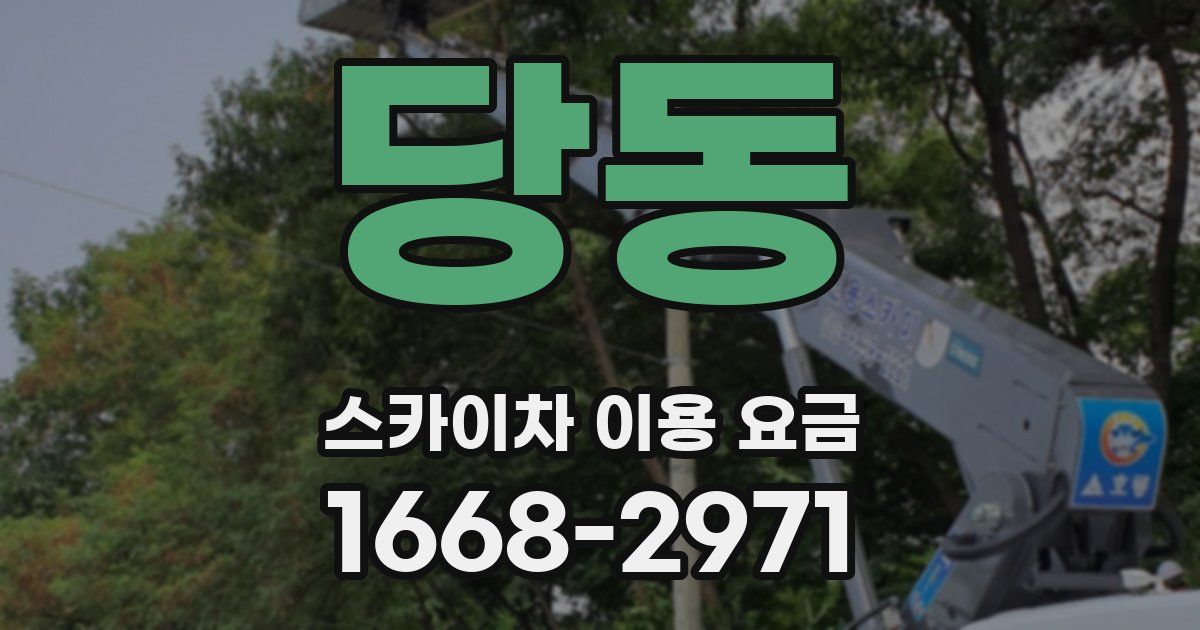 당동 스카이차 이용 요금