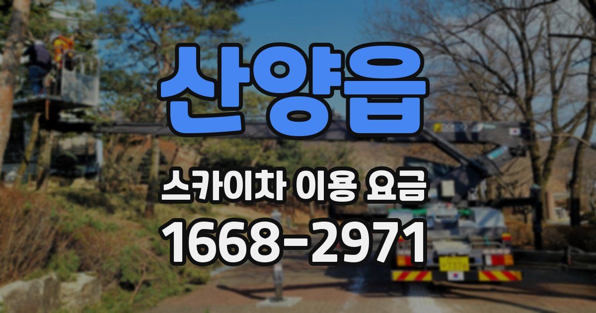 산양읍 스카이차 이용 요금
