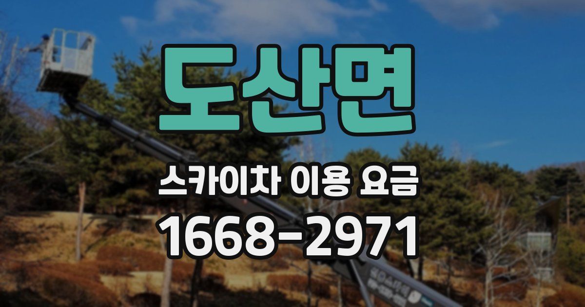 도산면 스카이차 이용 요금