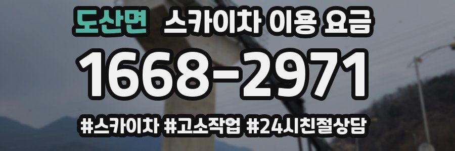 도산면 스카이차 이용 요금