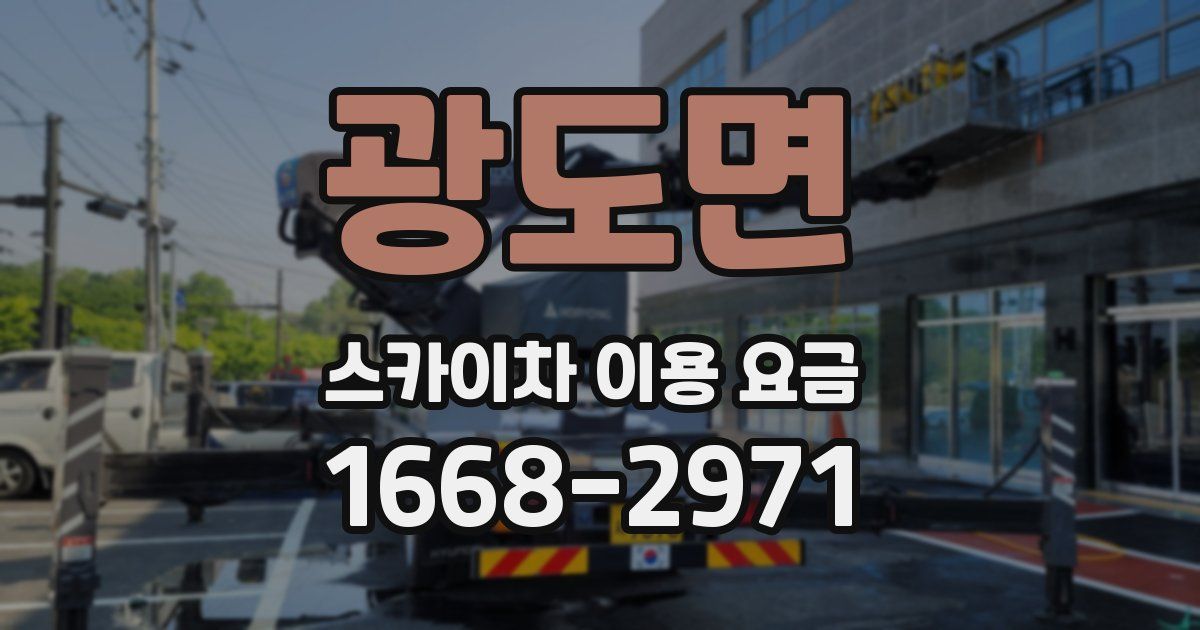 광도면 스카이차 이용 요금