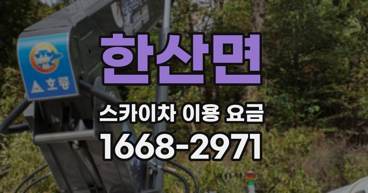 한산면 스카이차 이용 요금